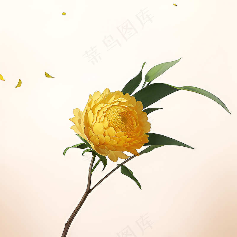白色黄色手绘新中式风格花植物112