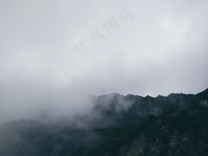 云雾森林图片 云雾森林图片