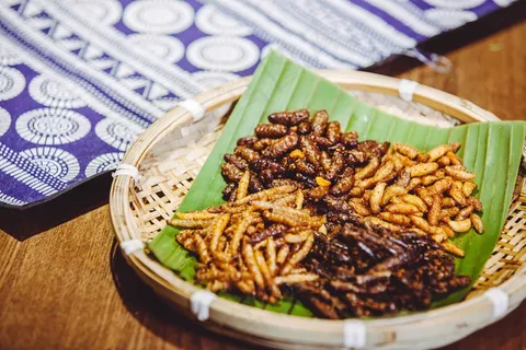 油炸虫蛹小吃