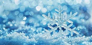 冬天雪花结冰寒冷大寒小寒大雪立冬冬至摄影图