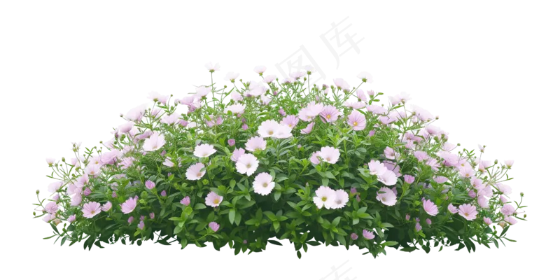 免抠开花灌木