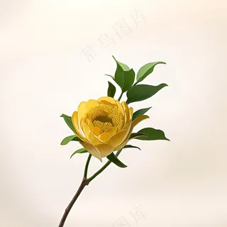 白色黄色手绘新中式风格花植物111 白色黄色手绘新中式风格花植物111