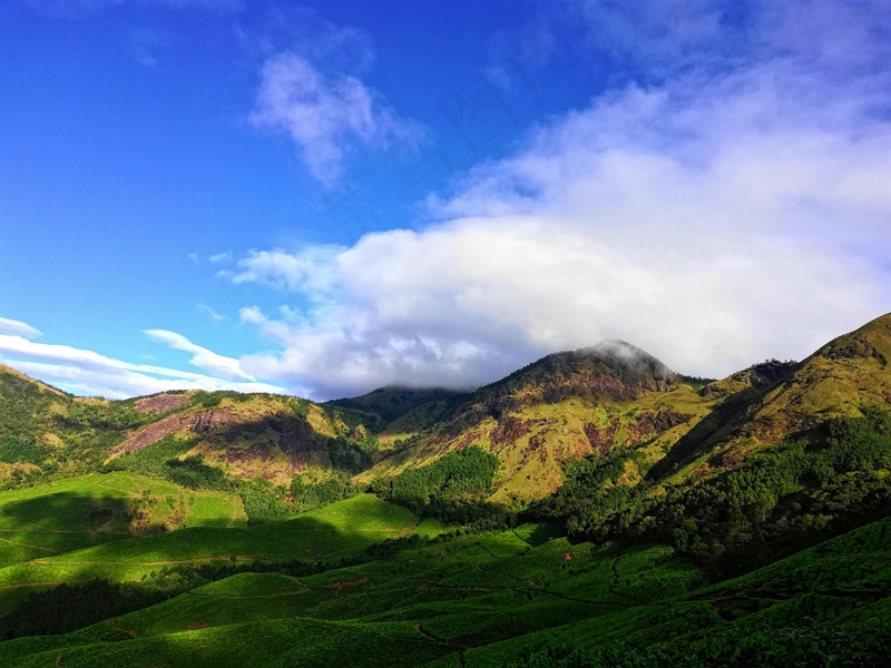 云雾缭绕的山脉与茶园