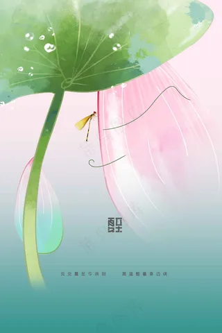 夏至节气传统活动海报