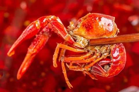麻辣小龙虾美食