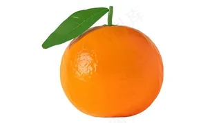 橘子砂糖橘手绘插画插图免抠