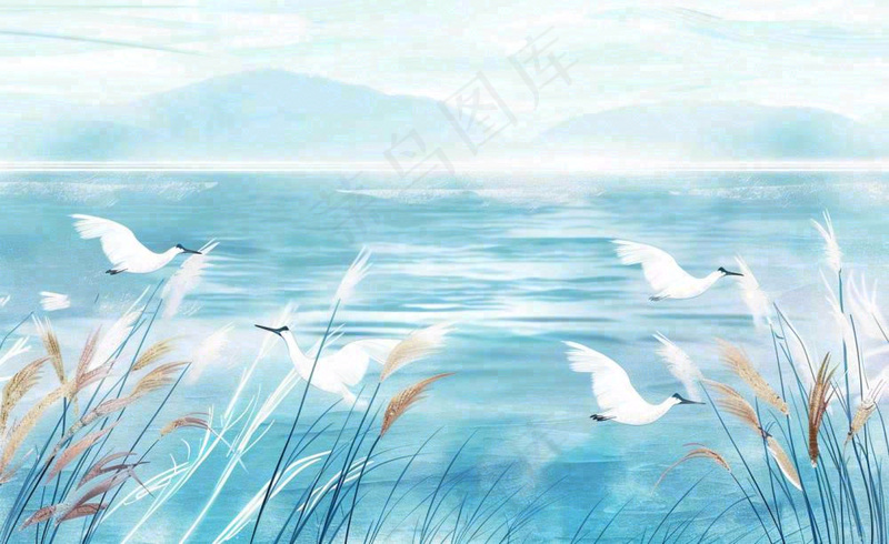 唯美白露插画白鹭动物风景秋天景色寒冷清冷芦苇丛寒露背景