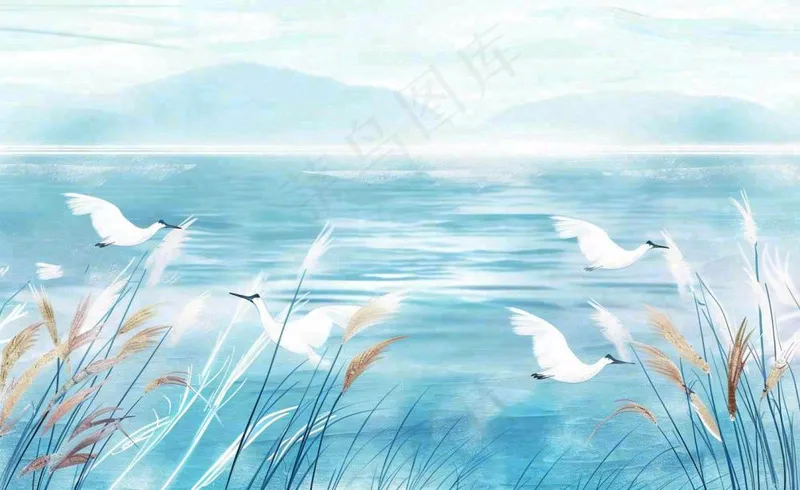 唯美白露插画白鹭动物风景秋天景色寒冷清冷芦苇丛寒露背景(1408x864)
