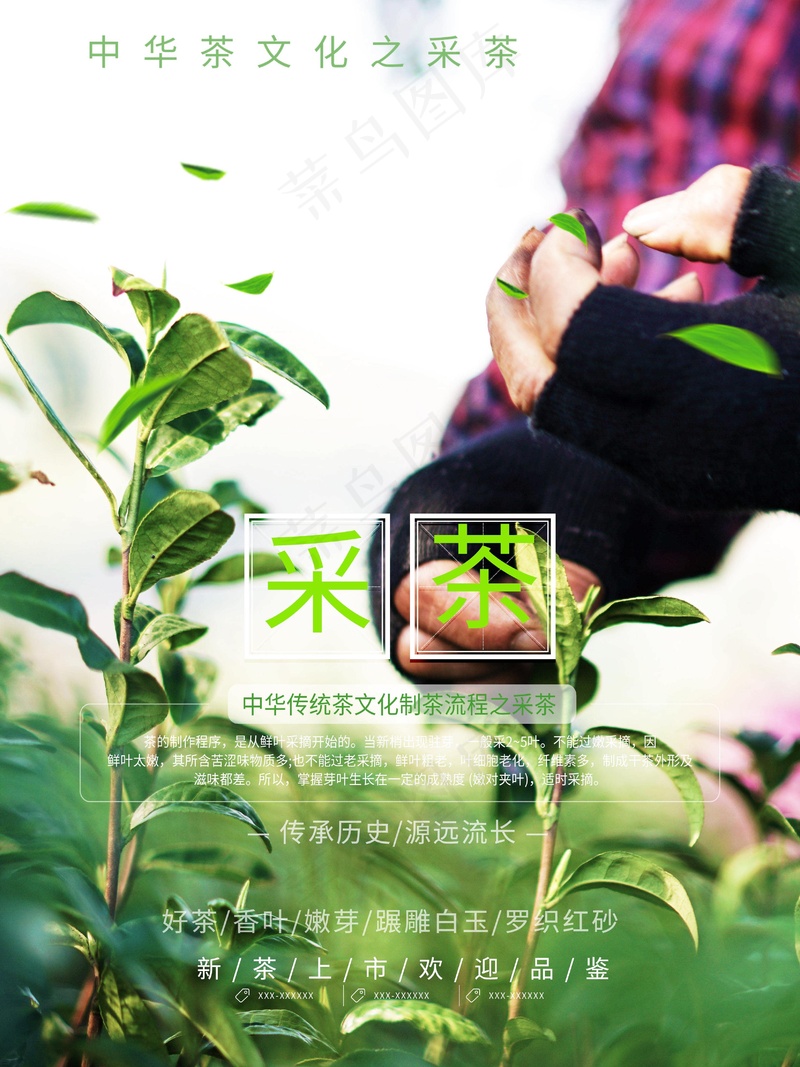 采茶女孩广告psd模版下载