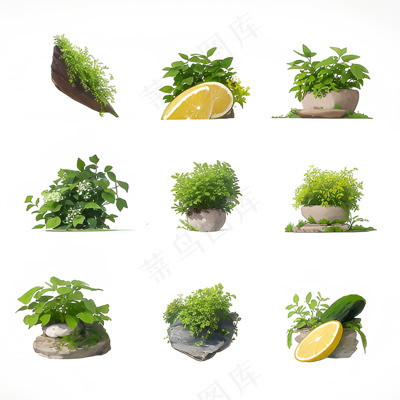手绘练习小植物花草系列44