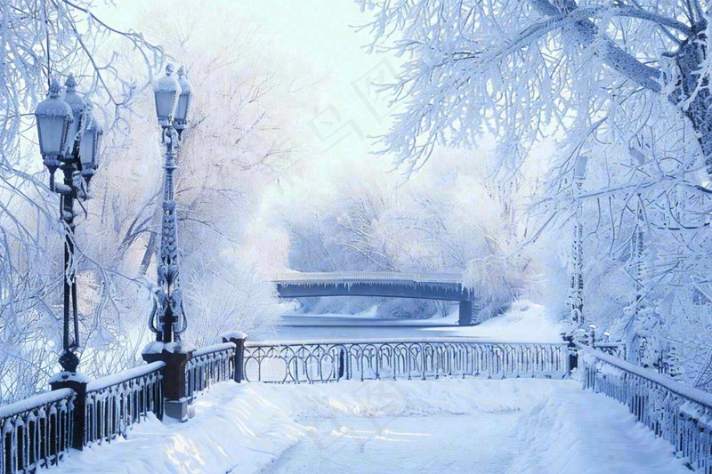冬天白雪皑皑雪景河流街道路灯桥小雪大雪冬至雪花背景