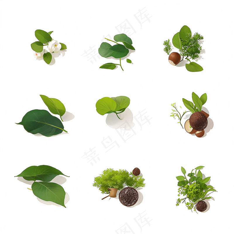 绿色手绘小植物花草系列免抠素材69