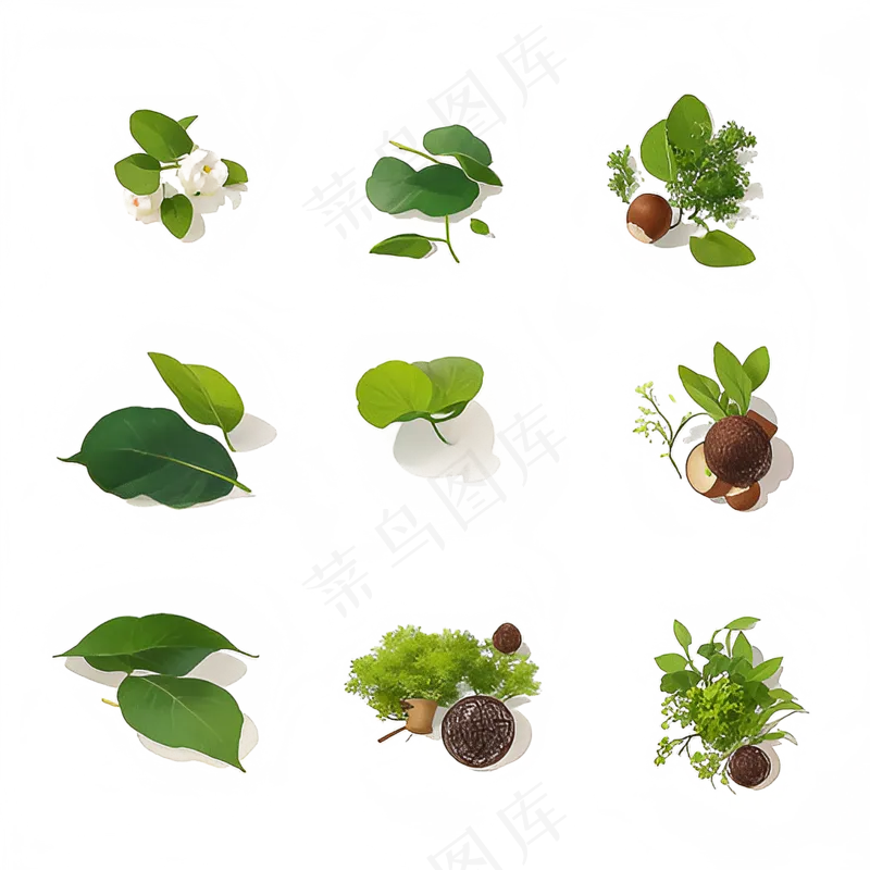 绿色手绘小植物花草系列免抠素材69