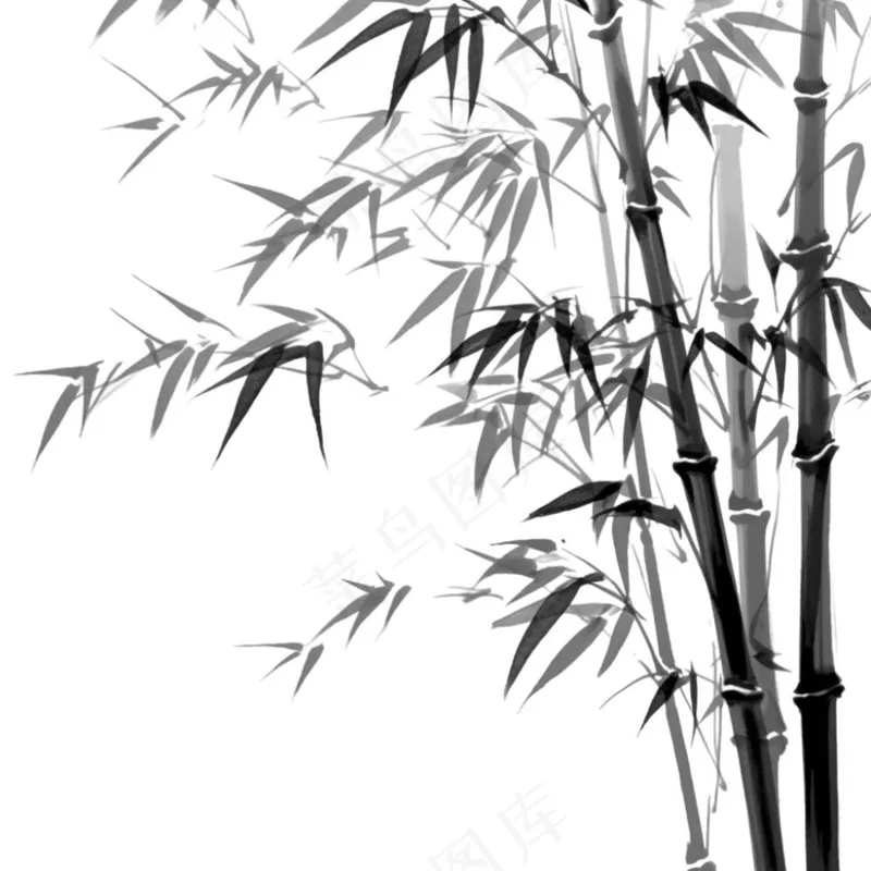 竹林竹叶水墨画古风黑白插画免抠(1024x1024)