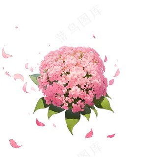 粉色花朵桃花玫瑰免抠素材47