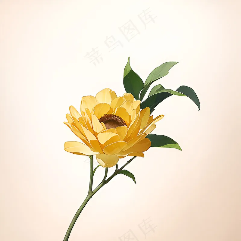 白色黄色手绘新中式风格花植物124