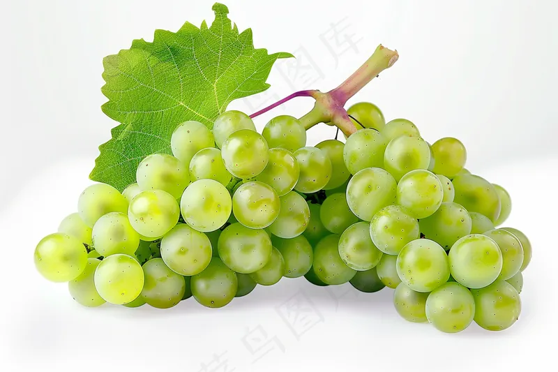 葡萄水果摄影图(4032x2688)