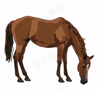 骏马马匹动物卡通插画免抠