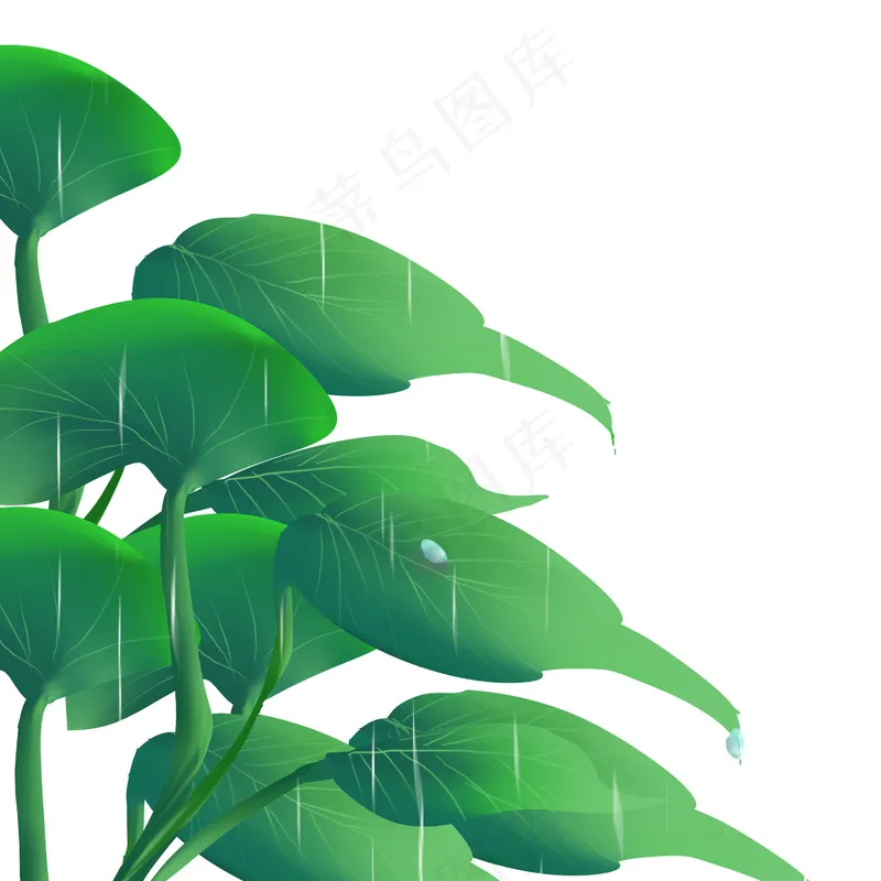 春天谷雨下雨树叶psd模版下载