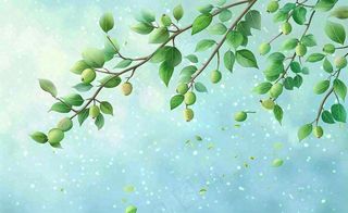 春夏绿色树枝绿叶清新绿意立夏插画背景