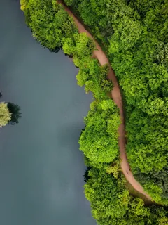 蜿蜒河流绿色森林 蜿蜒河流绿色森林