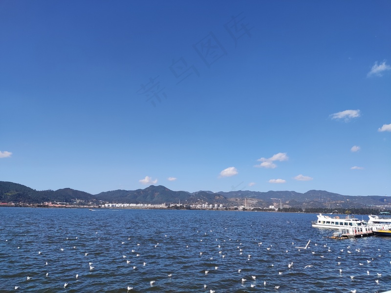 蓝天白云/洱海/海鸥/海面/湖面/水面/晴天/红嘴海鸥/轮船