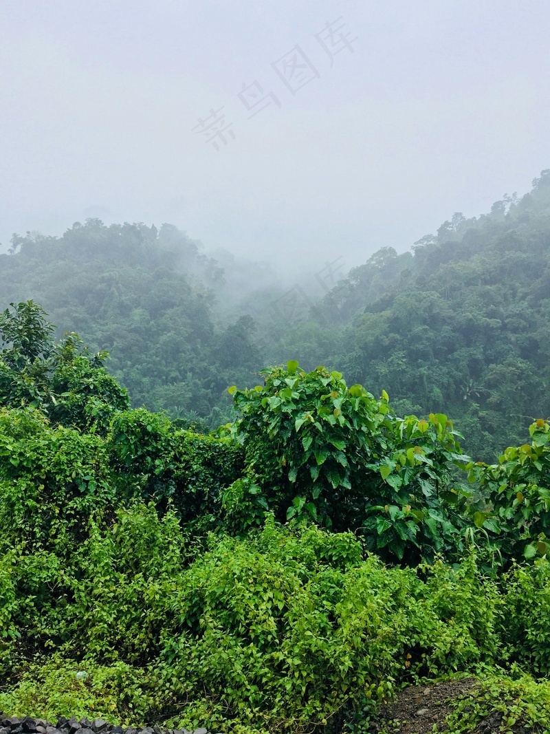 雾里看山图