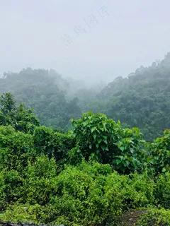 雾里看山图 雾里看山图