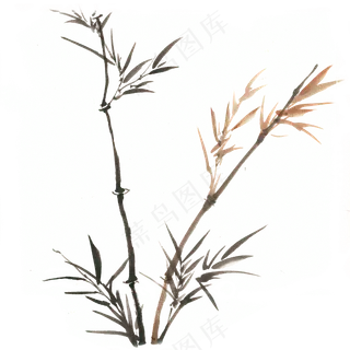中国风水墨竹子图片古风竹叶竹林水彩手绘插画PNG免扣设计