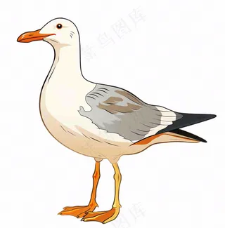 鸭子牲畜动物卡通插画免抠