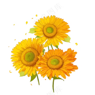 黄色向日葵花朵免抠素材12