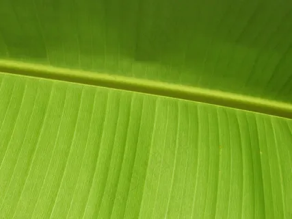 微软经典壁纸 (96)