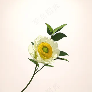 白色黄色手绘新中式风格花植物67