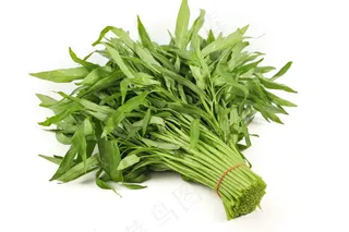 新鲜空心菜食材