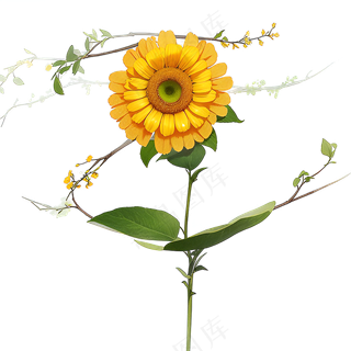 黄色向日葵免抠素材76