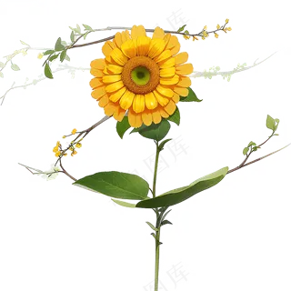 黄色向日葵免抠素材76