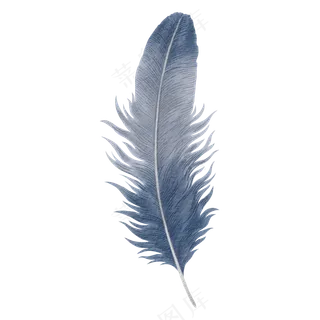 水彩羽毛免扣