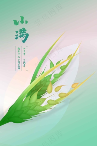 小满节气传统海报
