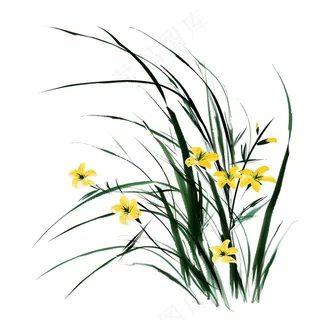 兰花水墨画中国风彩绘插画免抠