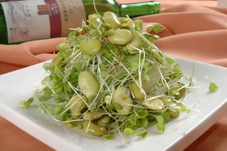 LCSC3400香椿蚕豆