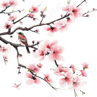 春天桃花树枝小鸟插画免抠
