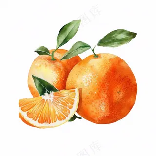 橘子砂糖橘橙子水彩插画免抠