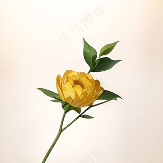 白色黄色手绘新中式风格花植物84