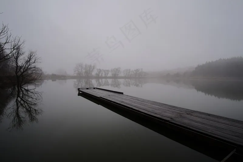 云雾森林图片