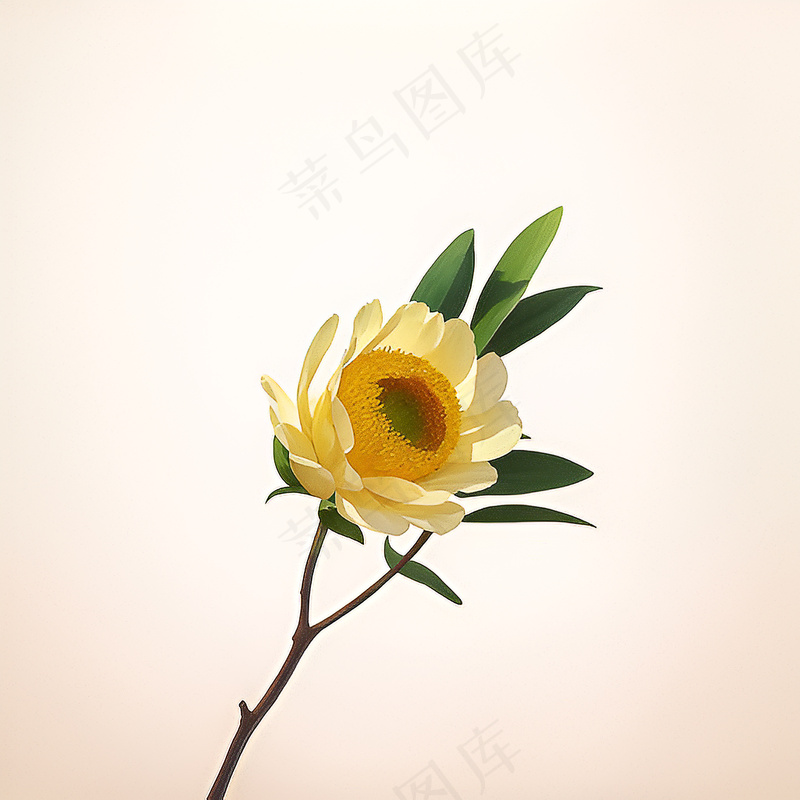 白色黄色手绘新中式风格花植物202
