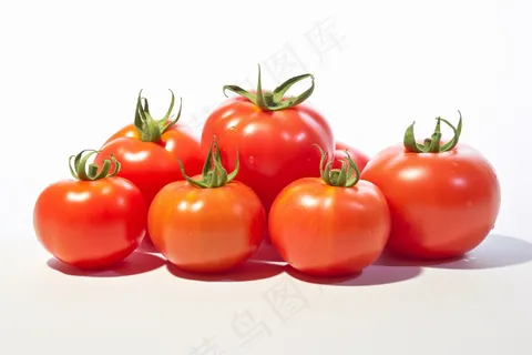 番茄西红柿蔬菜水果摄影图