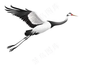 仙鹤国风插画免抠