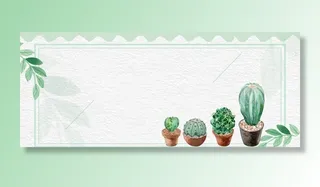 仙人掌背景图片