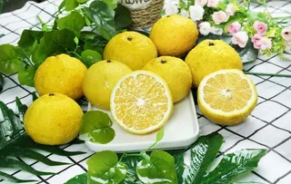 湖南麻阳黄金贡柚图片