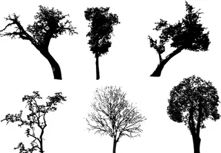 矢量树图片